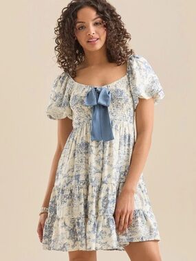Altar'd State Darah Toile Bow  Blue and Cream Dress